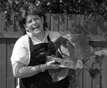 rachel green, celebrity chef, cookery courses, peak district